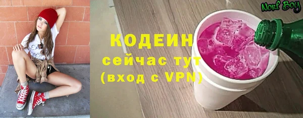 хмурый Нея