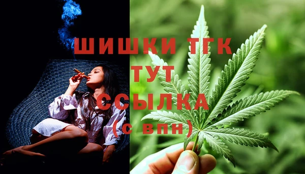 мдпв Новодвинск