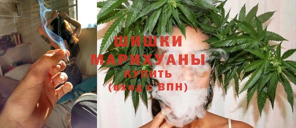хмурый Нея