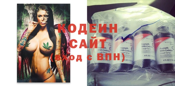 хмурый Нея