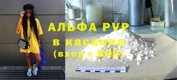хмурый Нея